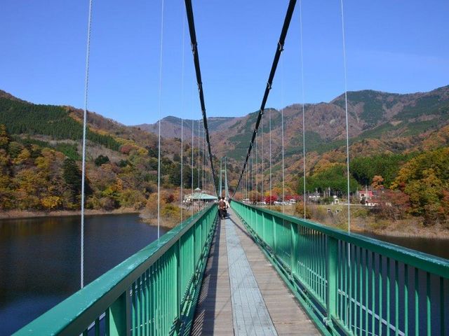 もみじ谷大吊橋_もみじ谷大吊橋