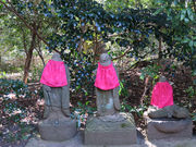 ひがしむらやま5525さんの武蔵国分寺の投稿写真4