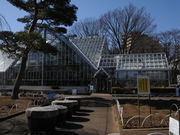 ひがしむらやま5525さんの東京都薬用植物園の投稿写真8