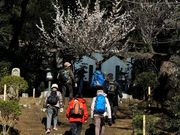 あつぎ5525さんの広沢寺温泉の投稿写真1