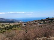 ジュンさんの玄岳の投稿写真1