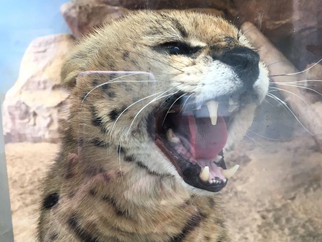 福山市立動物園_福山市立動物園