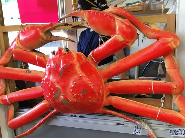 蟹がとにかくすごい_道の駅 マリンドリーム能生