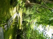 ハンニバルさんの臥龍山荘庭園の投稿写真1