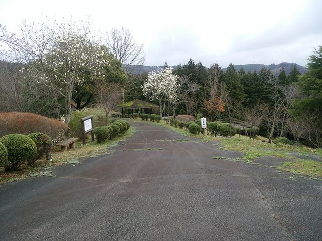ラグビーおやじさんの桜の苑の投稿写真1