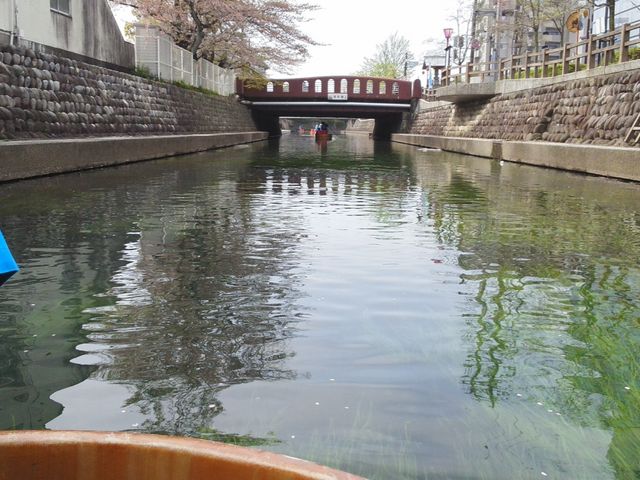 たらい舟からの視線_水の都おおがきたらい舟