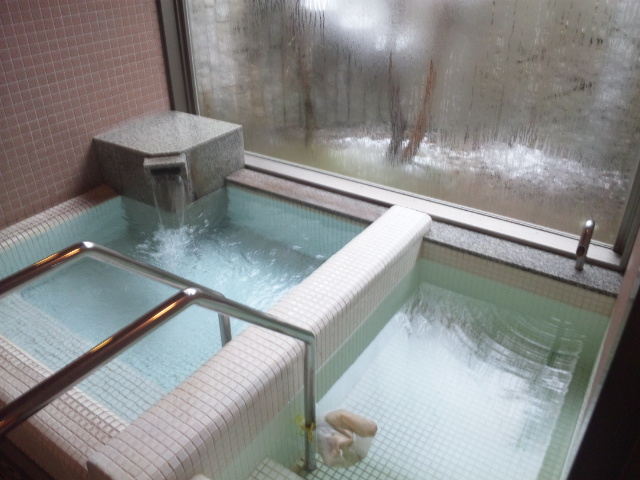 貸切風呂(景観は森の中に佇む感じだけど塀で囲まれた庭w)_飛騨川温泉 しみずの湯