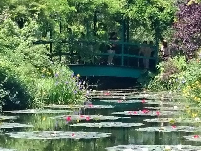 北川村 モネの庭
睡蓮の池_北川村「モネの庭」マルモッタン