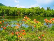 えりりりんさんの茶臼山高原の投稿写真2