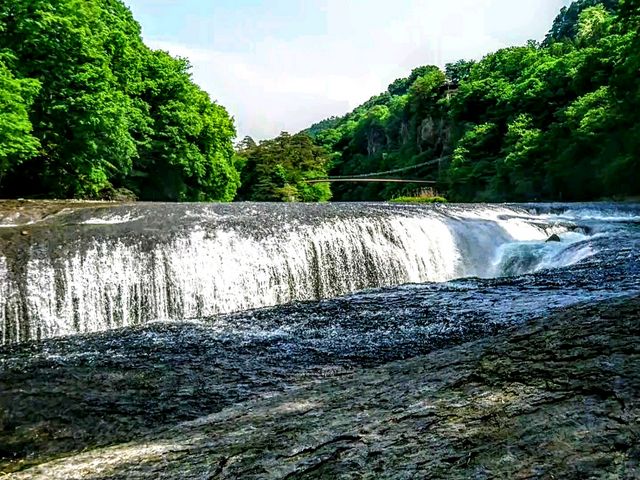 緑と瀑布のコラボ_吹割の滝