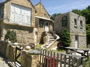 やんまあさんのポントオークの投稿写真1