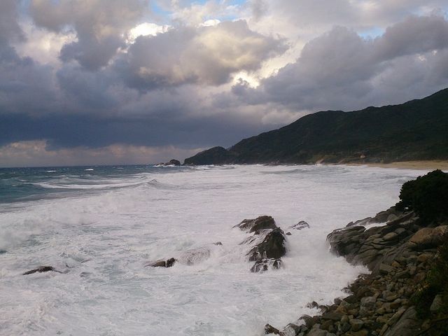 永田浜_永田浜