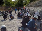 かずほさんのいわき市アンモナイトセンターの投稿写真1