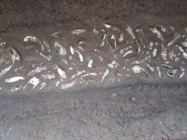 馬込文士村資料展示室