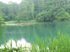 Kさんの五色沼自然探勝路への投稿写真1