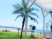 みなりんさんの常滑りんくうビーチの投稿写真1