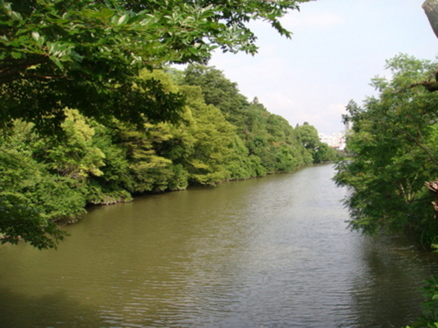 亀山城跡_丹波亀山城跡