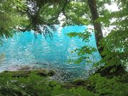 恒さんさんの田沢湖の投稿写真1