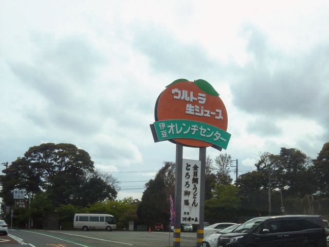 伊豆オレンヂセンター_伊豆オレンヂセンター