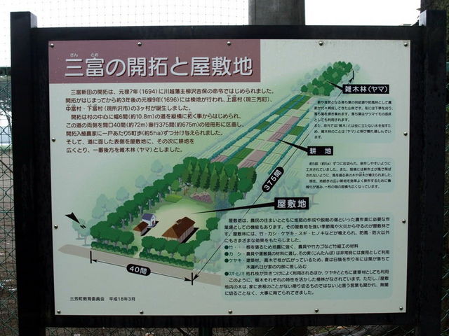 taroさんの三富新田のケヤキ並木の投稿写真1