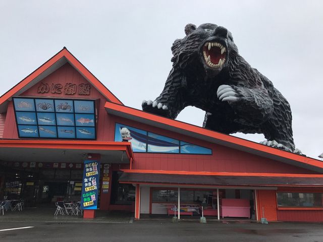クマにびっくり_かに御殿