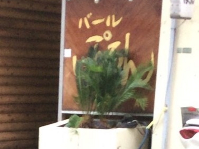 ぽろん_ぽろん