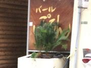 ややさんのぽろんの投稿写真1