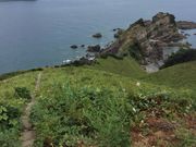 akubi123さんのカノコユリの投稿写真1