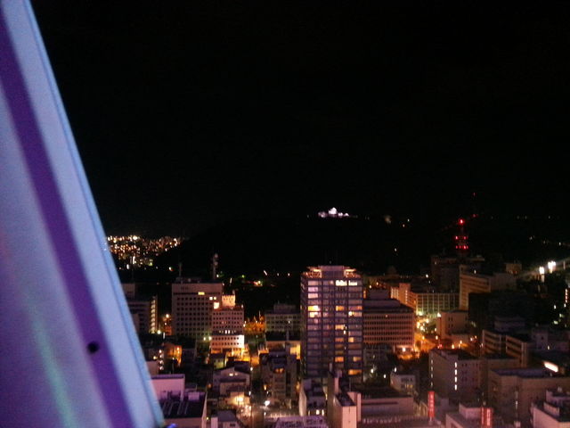 くるりんからの夜景_大観覧車くるりん