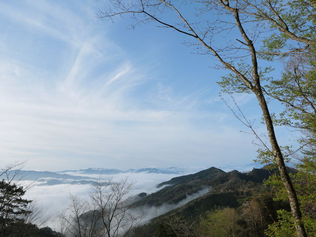 JOEさんの五木スカイラインの投稿写真1