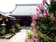 しどーさんの来迎寺の投稿写真1