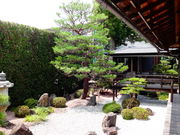 しどーさんの宗安寺の投稿写真2