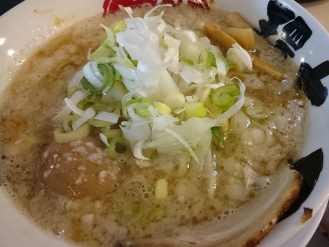 特製ラーメン(中麺)+ネギ_環七ラーメン てらッちょ。