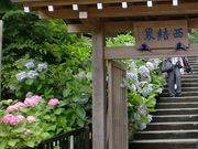 キヨさんの成就院の投稿写真2