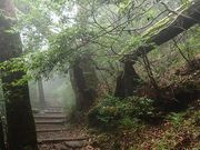 MINAMIさんの池巡り自然探勝路の投稿写真1