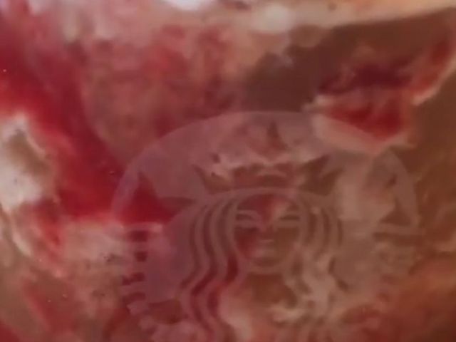 フラペチーノ_スターバックス コーヒー 大府柊山店(Starbucks Coffee)