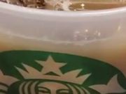 シチリアレモンさんのスターバックス・コーヒー VIA MALLアピタ江南西店の投稿写真1
