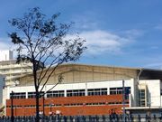 はるはるはるさんの中野体育館の投稿写真1