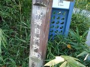 スマイルさんの東海自然歩道(宇治?鷲峰山)の投稿写真1
