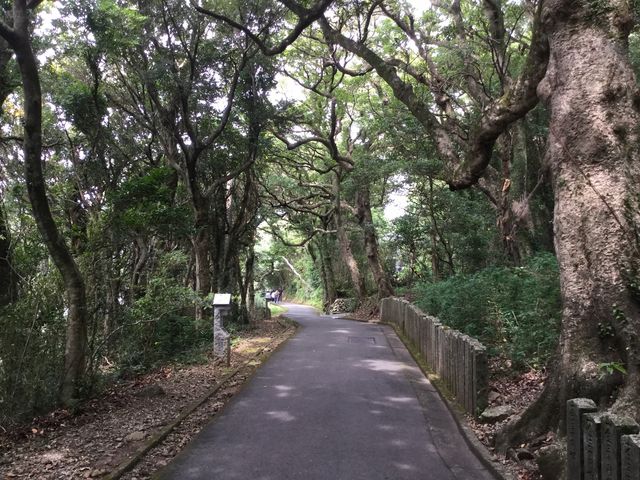 最御崎寺(東寺)