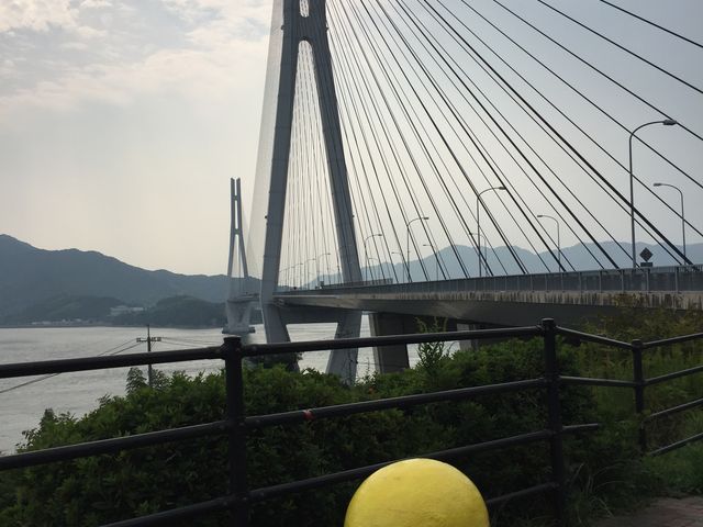 ステキな景観_レモン谷