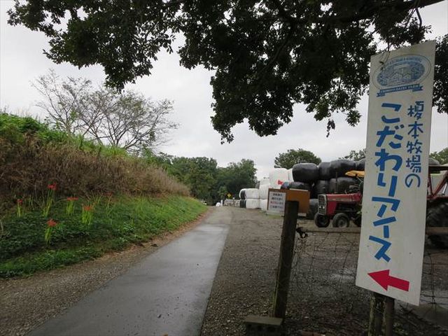 看板_榎本牧場 フォルトゥーナ