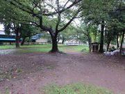 ぴちぽちょこいたのさんの大草城址公園の投稿写真1