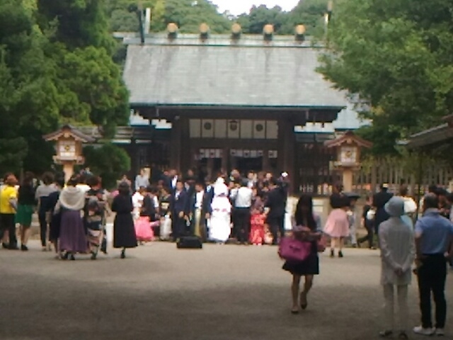 神前挙式あとの記念撮影にめぐり合わせました。_宮崎神宮