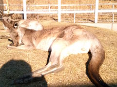 長井海の手公園ソレイユの丘の写真1