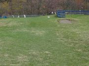 あーちゃんさんの房総カントリークラブ大上ゴルフ場の投稿写真1