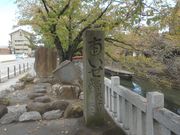 サビ猫さんの蛤塚の投稿写真1