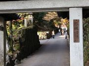 casaさんの興聖寺の紅葉の投稿写真1