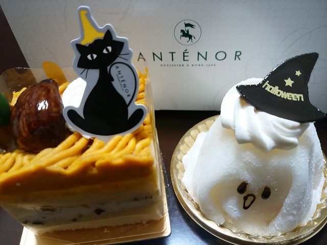 アンテノール_アンテノール あまがさき阪神店