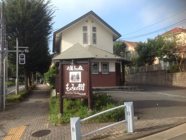 もみの樹_もみの樹
